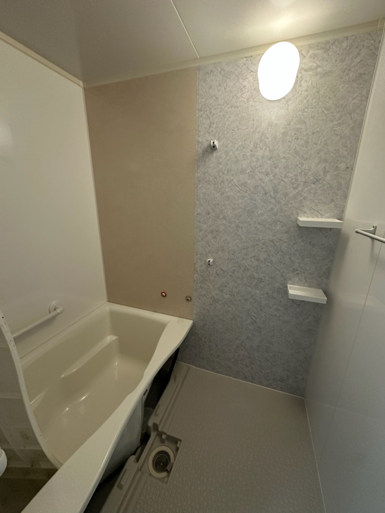 半面だけ施工が終わった状態